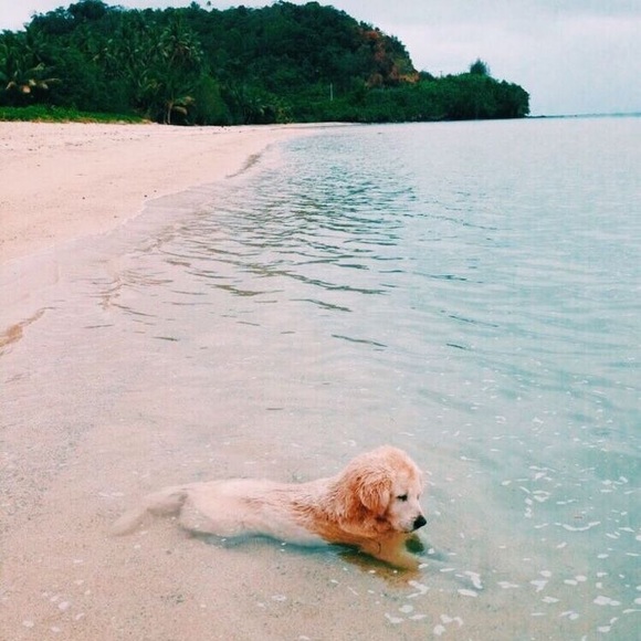 beachmom0925